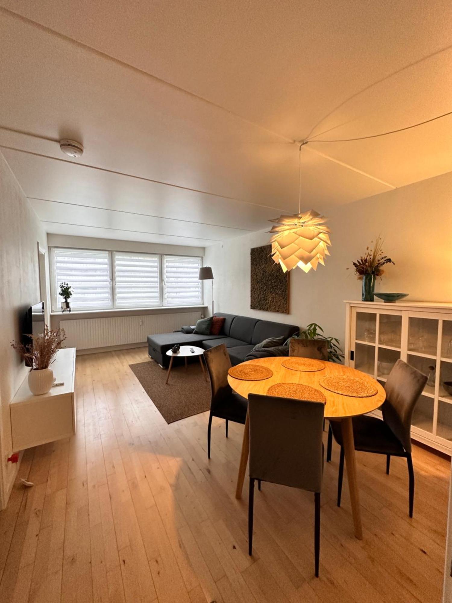 Privat One Bedroom Apartment With Free Parking Оденсе Екстер'єр фото